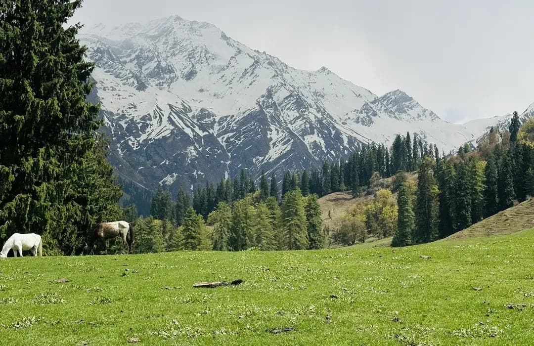 Parvati's Lap - Luxury Hostel & Villa, Lapas Village (Kasol), Parvati Valley, Himachal Pradesh — Swajani-Bhandak-Biskeri Trek