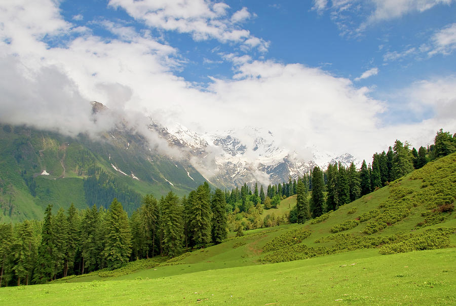 Bhandak Thach meadow trek near Kasol, Parvati Valley, Himachal Pradesh.
